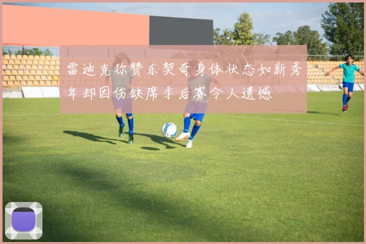 雷迪克称赞东契奇身体状态如新秀年却因伤缺席季后赛令人遗憾