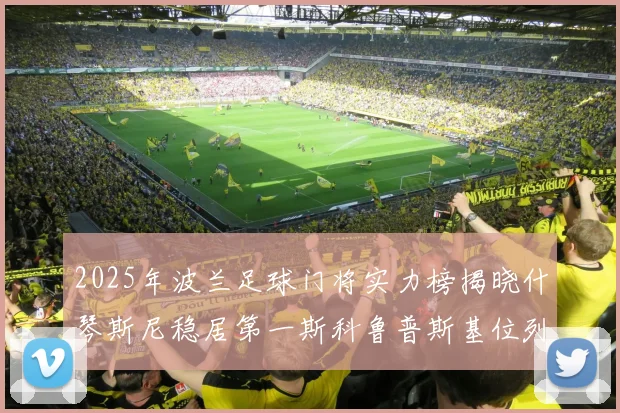 2025年波兰足球门将实力榜揭晓什琴斯尼稳居第一斯科鲁普斯基位列第三
