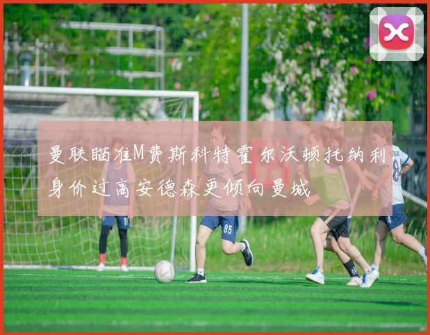 曼联瞄准M费斯科特霍尔沃顿托纳利身价过高安德森更倾向曼城