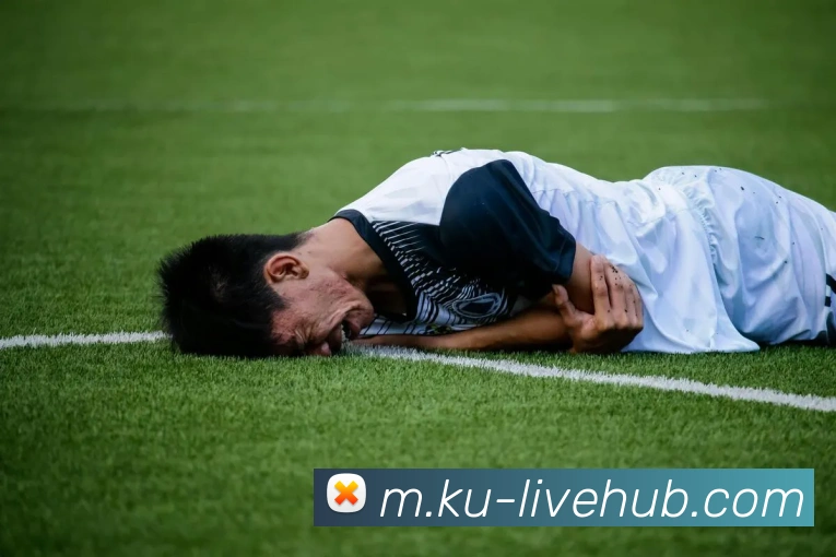 KU游体育平台生态图